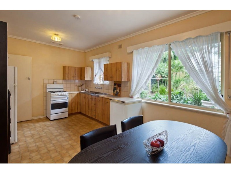 60 Autumn Avenue, Lockleys SA 5032