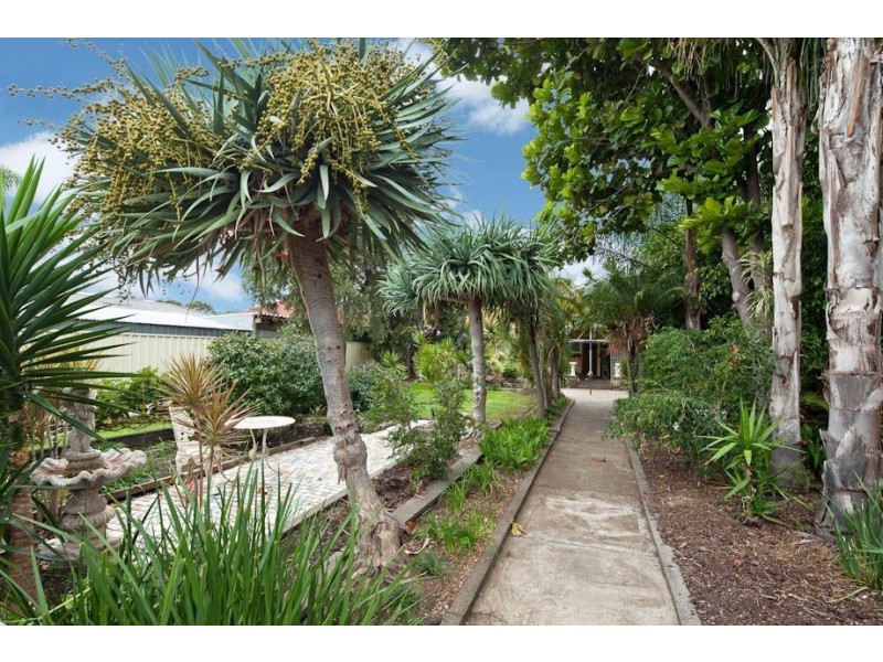 60 Autumn Avenue, Lockleys SA 5032