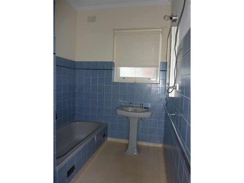 53 Clyde Avenue, Lockleys SA 5032