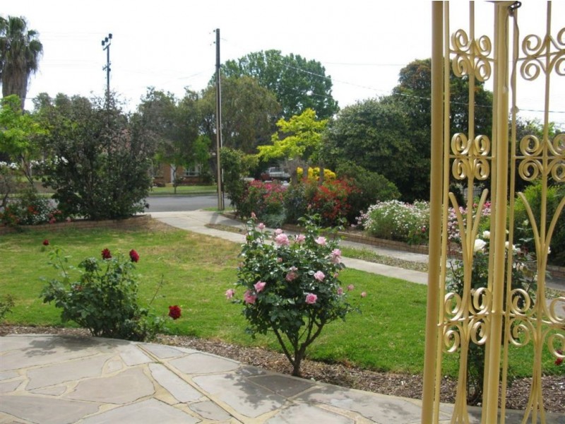 31 Fulham Park Drive, Lockleys SA 5032