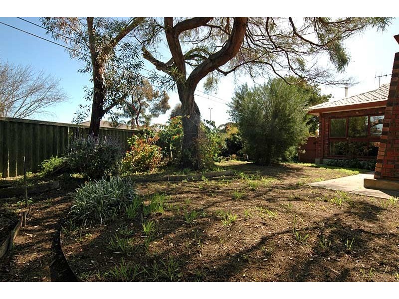 57 Rutland Avenue, Lockleys SA 5032