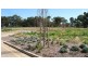 Lot 99 Styles Place, Underdale SA 5032
