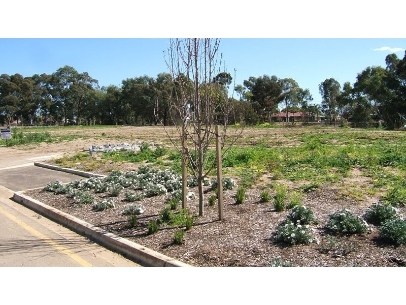 Lot 99 Styles Place, Underdale SA 5032
