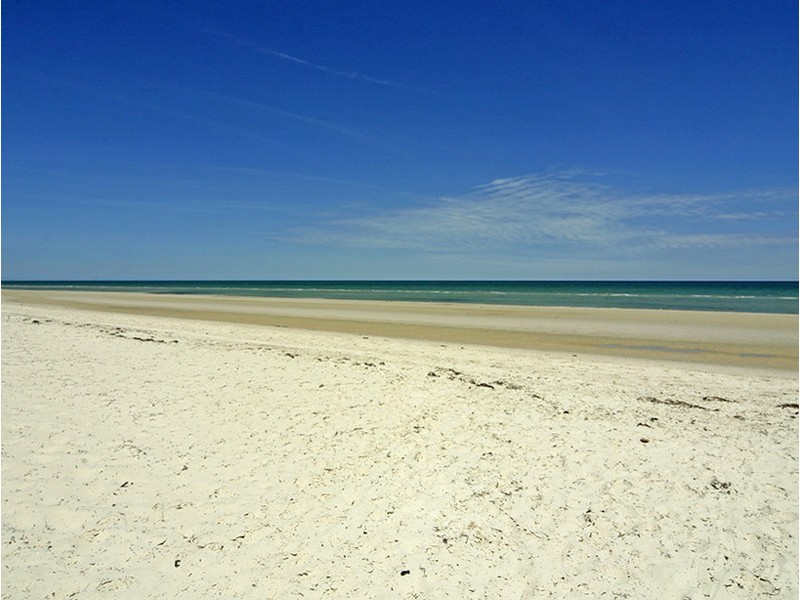 8 Bucknall Close, Tennyson SA 5022