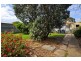 41 Surrey Street, Grange SA 5022