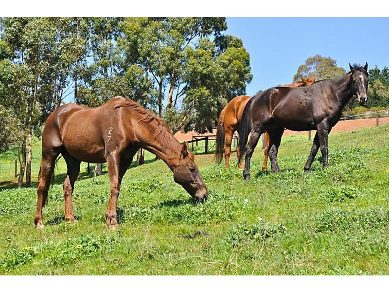 Lot 72 Private Road, Coromandel East SA 5157