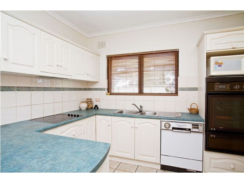 59 Rutland Avenue, Lockleys SA 5032