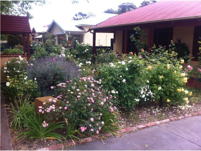 70 Alexandra Street, Prospect SA 5082