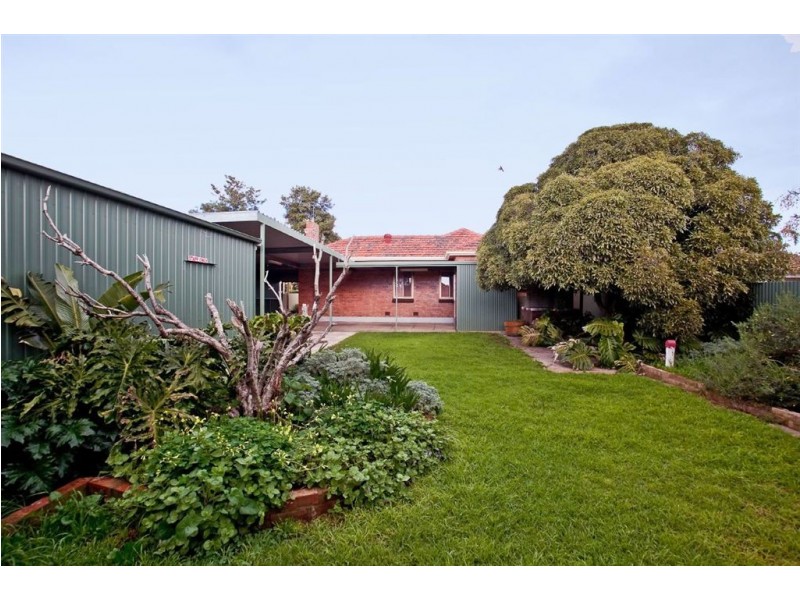 36 Australian Avenue, Clovelly Park SA 5042
