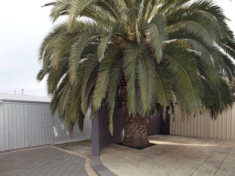 31 Henley Beach Road, Henley Beach South SA 5022