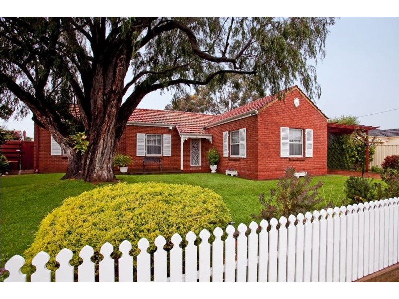 16 Chester Street, Lockleys SA 5032