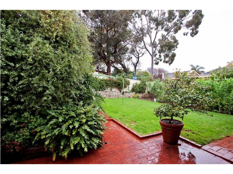 16 Chester Street, Lockleys SA 5032