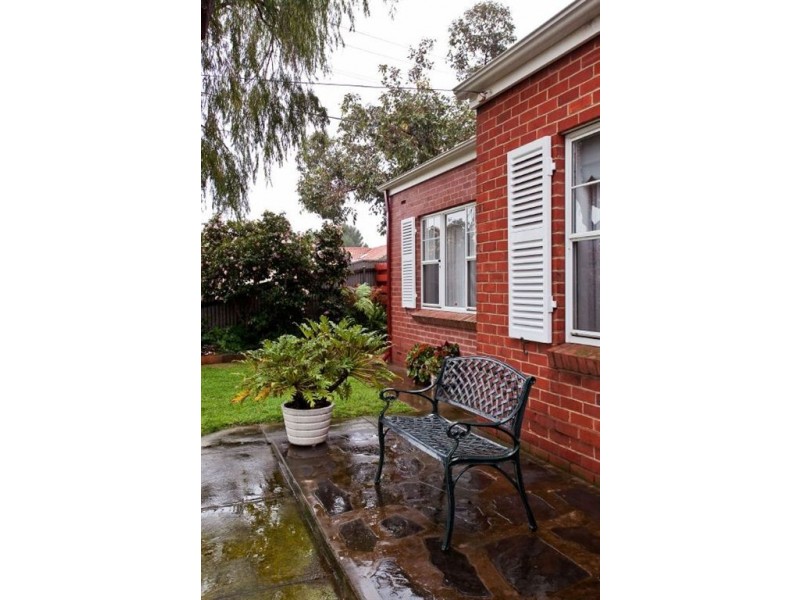 16 Chester Street, Lockleys SA 5032