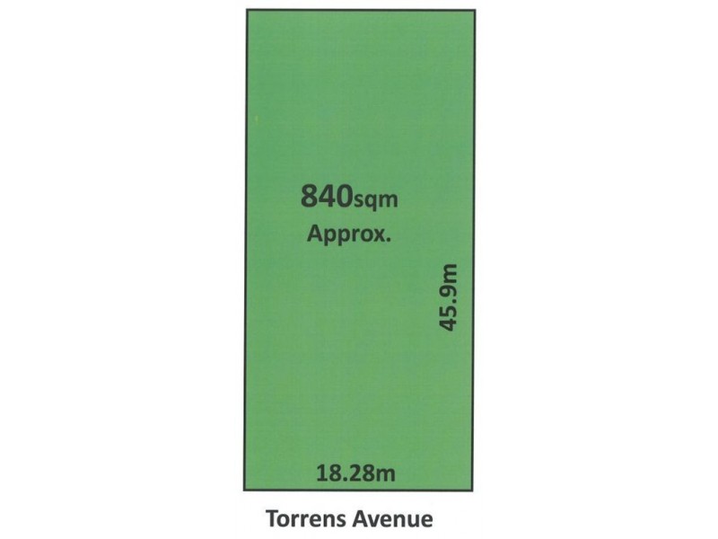 19 Torrens Avenue, Lockleys SA 5032