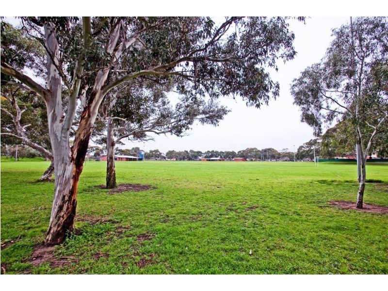 16 Moresby Street, Lockleys SA 5032