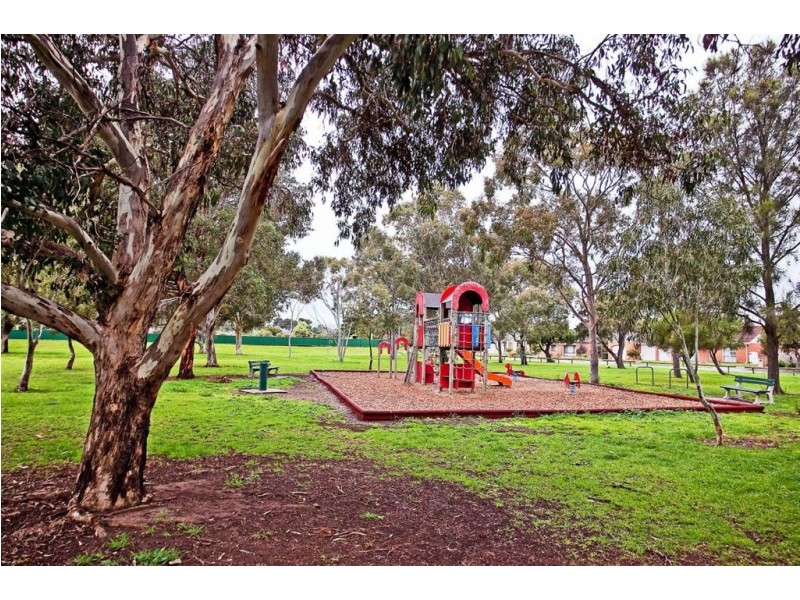 16 Moresby Street, Lockleys SA 5032