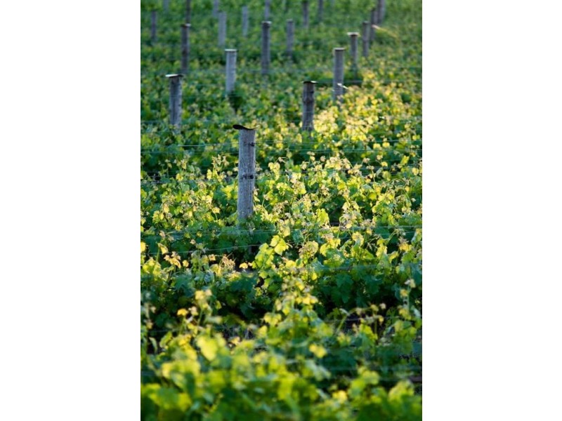 Sec 102 Smith Hill Road, Yankalilla SA 5203