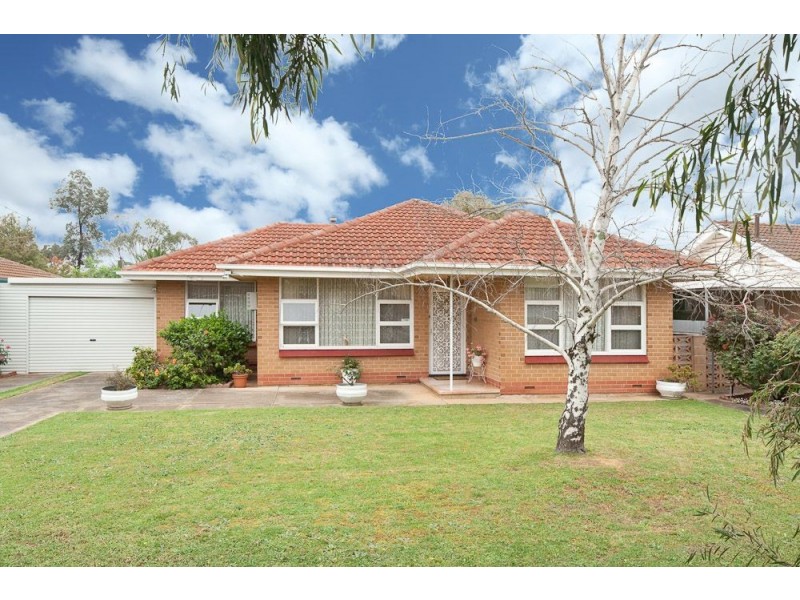 16 Wellington Avenue, Parafield Gardens SA 5107