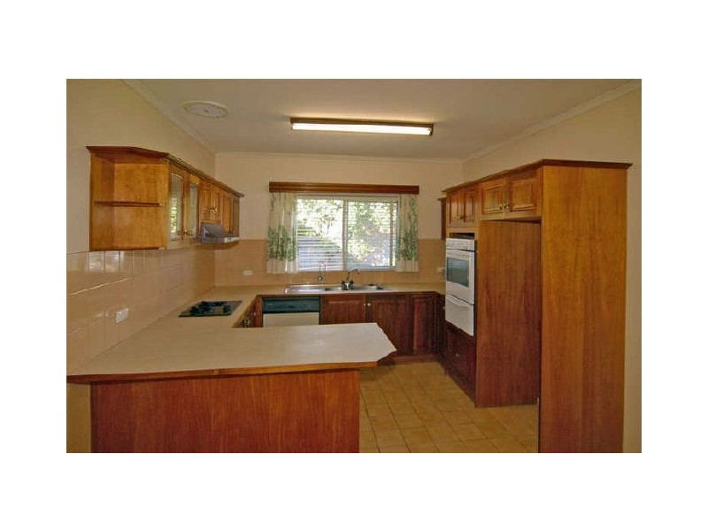 87 White Avenue, Lockleys SA 5032