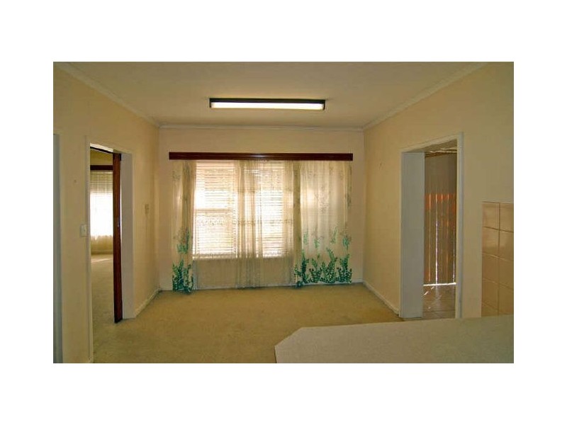 87 White Avenue, Lockleys SA 5032