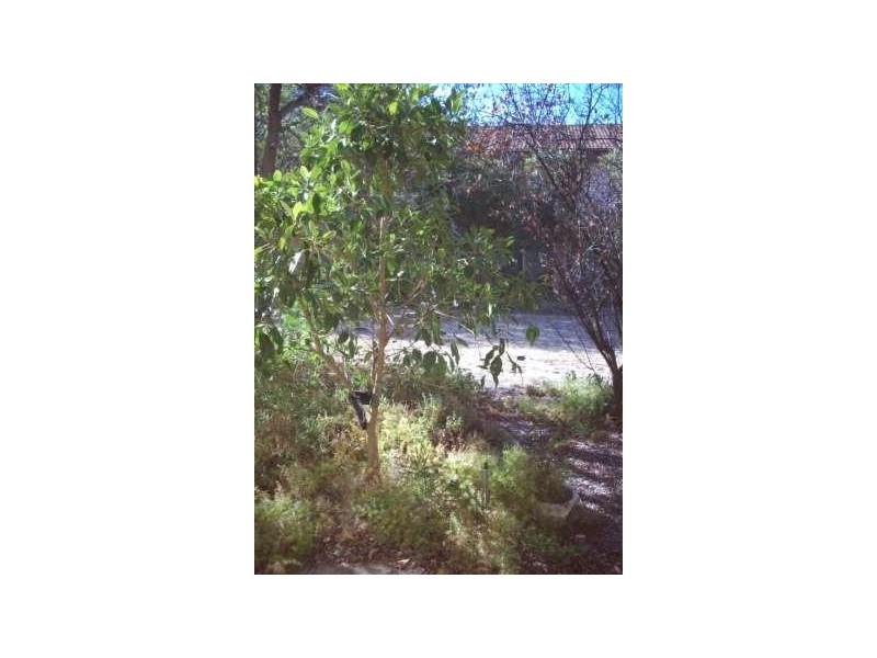 17/8 Montrose Avenue, Seaton SA 5023