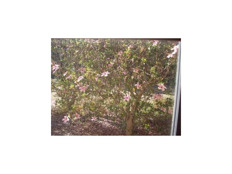 17/8 Montrose Avenue, Seaton SA 5023