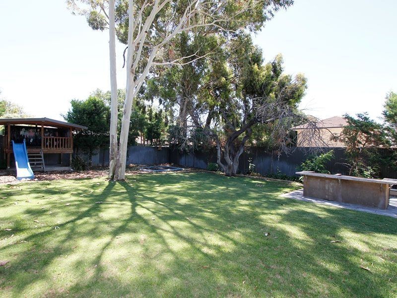 10 Counter Avenue, Lockleys SA 5032