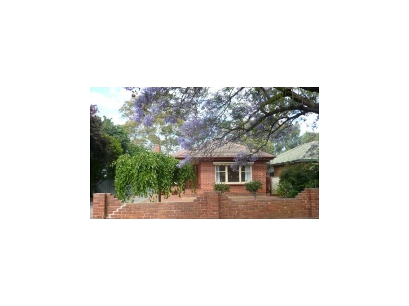 45 Churchill Avenue, Clarence Park SA 5034