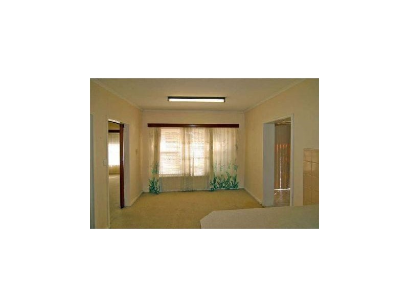 87 White Avenue, Lockleys SA 5032