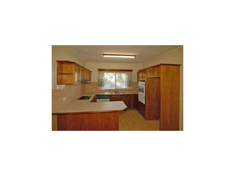 87 White Avenue, Lockleys SA 5032