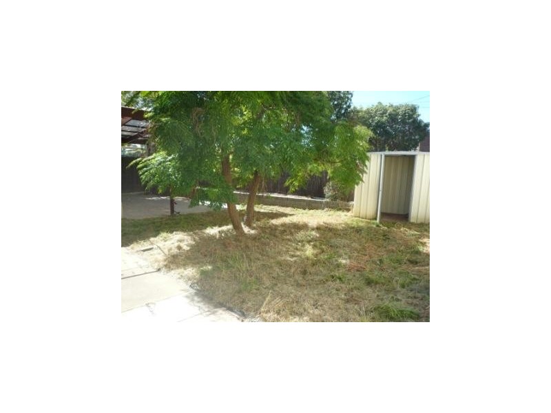 1 Hereford Street, Lockleys SA 5032