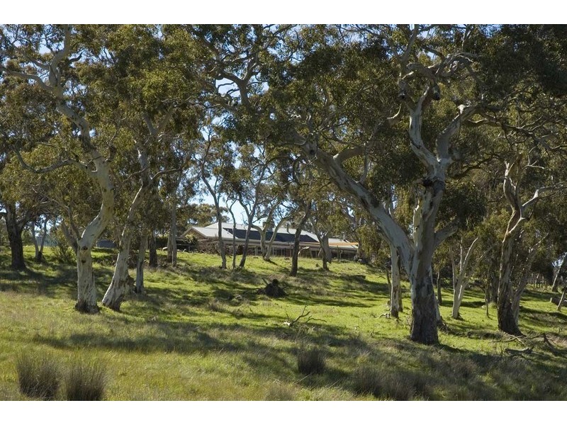 Lot 51 Nestor Road, Macclesfield SA 5153