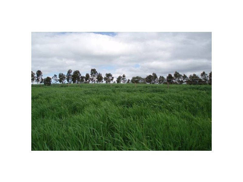 Lot 1 Somerton Road, One Tree Hill SA 5114