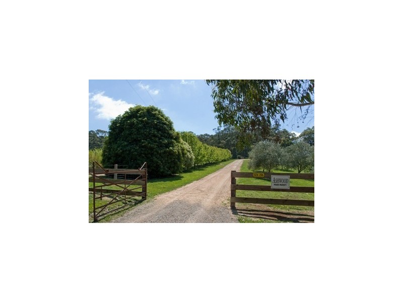 Lot 60 Leonard Road, Hahndorf SA 5245