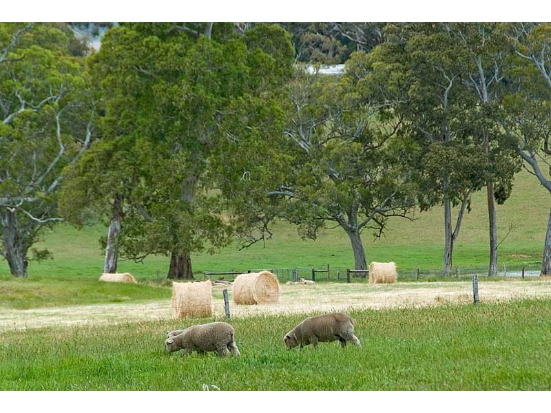 Lot 22 Wicks Road, Meadows SA 5201