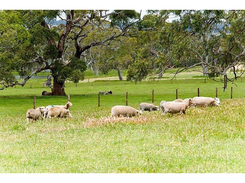 Lot 22 Wicks Road, Meadows SA 5201