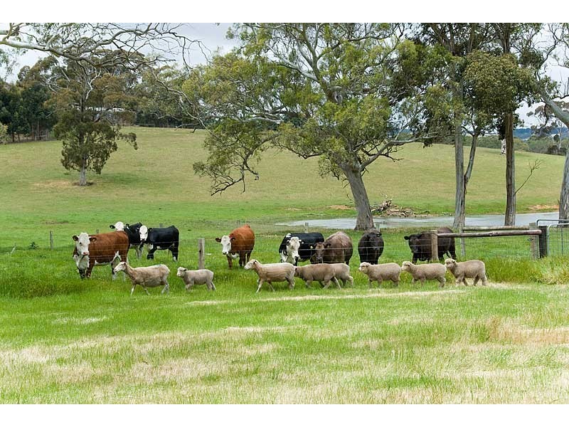 Lot 22 Wicks Road, Meadows SA 5201