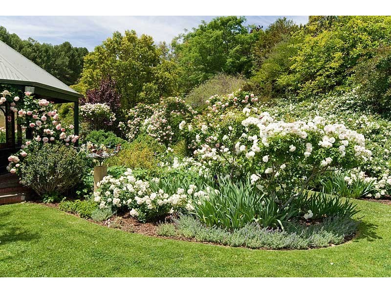 Lot 6 Thomas Court, Coromandel Valley SA 5051