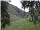 Sec 350 The Glen Road, Harrogate SA 5244