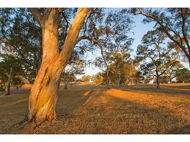 Lot 7 Bird In Hand Road, Woodside SA 5244