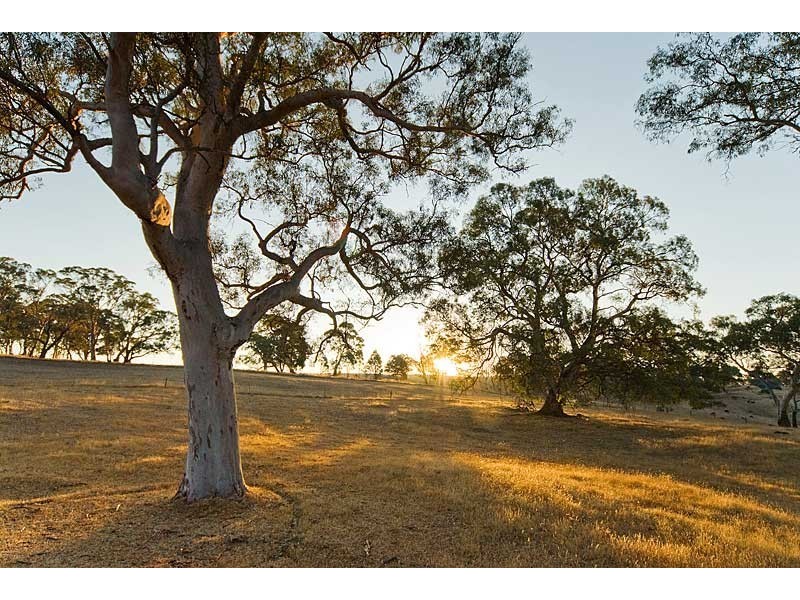 Lot 7 Bird In Hand Road, Woodside SA 5244