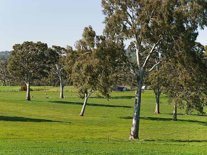 Sec 5225 Whitegum Road, Oakbank SA 5243