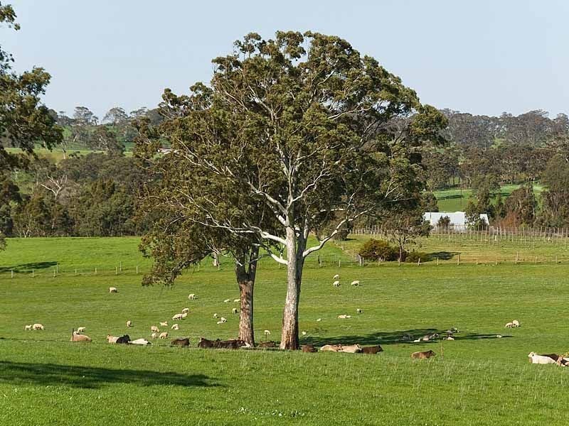 Sec 5225 Whitegum Road, Oakbank SA 5243