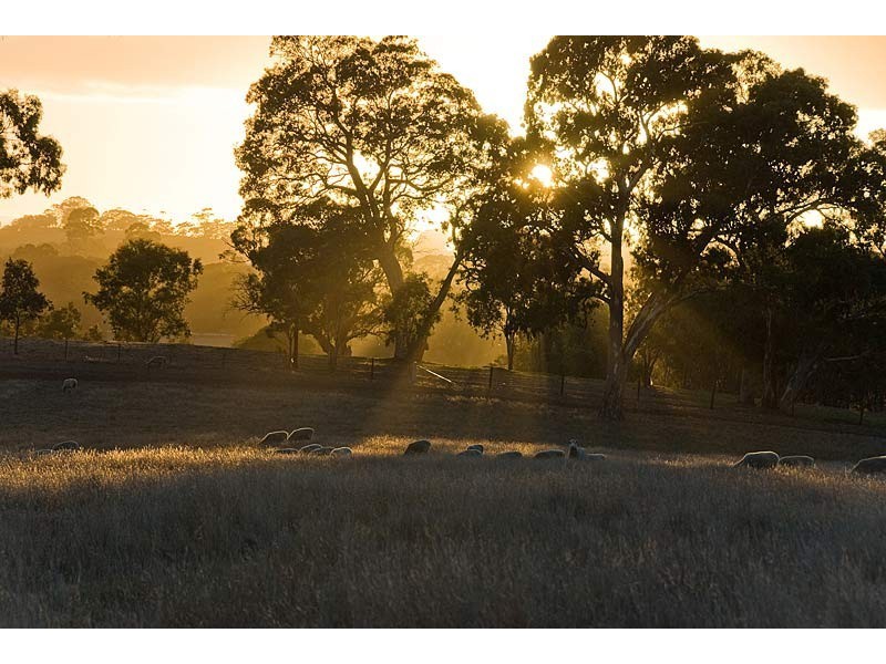 Sec 5225 Whitegum Road, Oakbank SA 5243