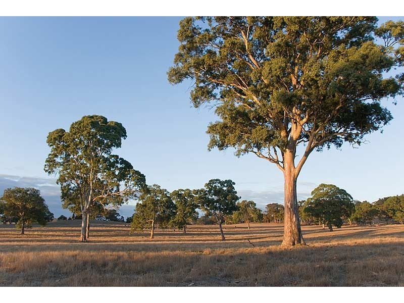 Sec 5225 Whitegum Road, Oakbank SA 5243