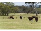 Lot 20 Kondoparinga Road, Meadows SA 5201
