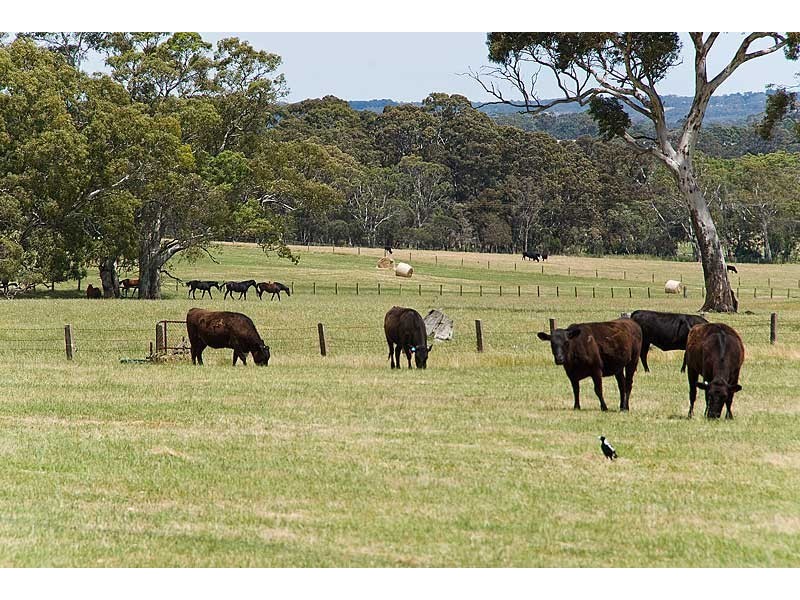 Lot 20 Kondoparinga Road, Meadows SA 5201