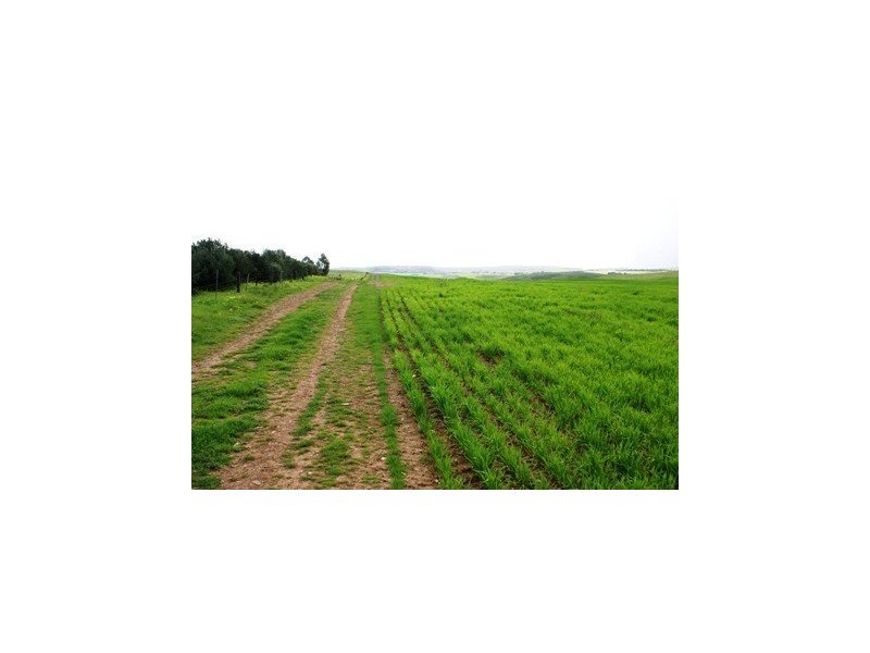 Lot 22 Princes Highway, Callington SA 5254