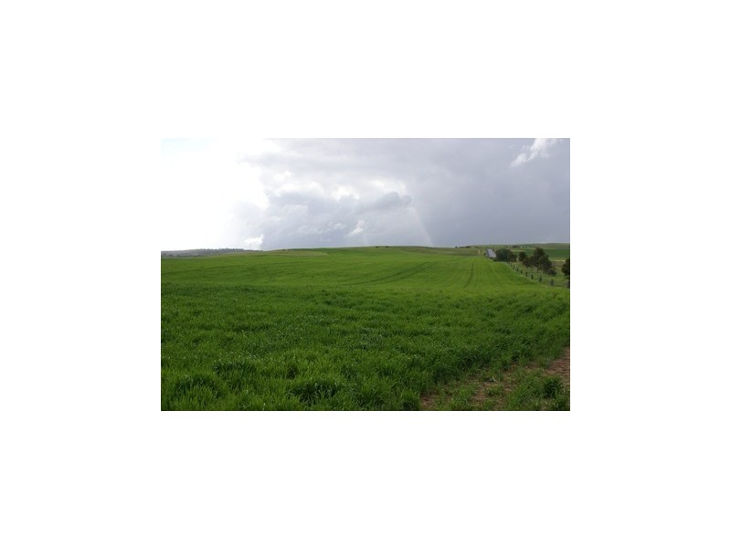 Lot 22 Princes Highway, Callington SA 5254