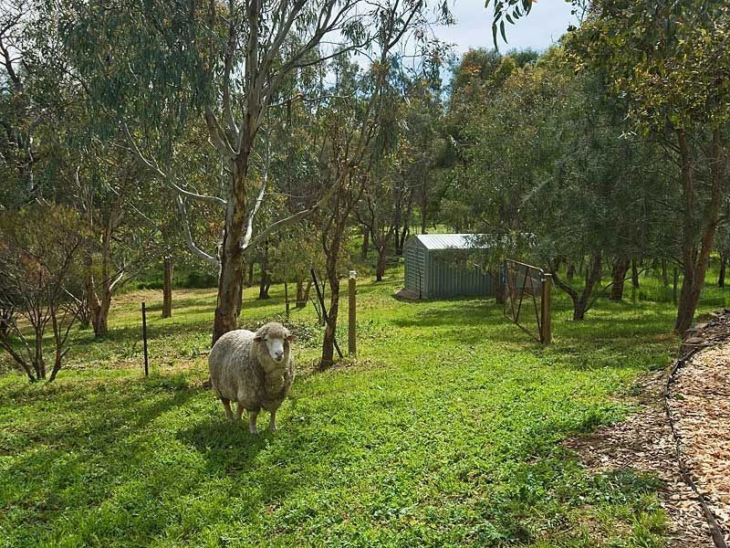 Lot 90 Church Street, Harrogate SA 5244